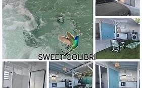 Sweet Colibri